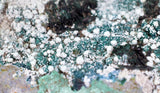 27cms GEM ATACAMITE MALACHITE HALLOYSITE UNKNOWN CRYSTALS CHILE AB247