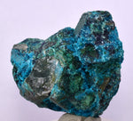 3.8cms QUARTZ CHRYSOCOLLA BOTRYOIDAL TENTADORA MINE PERU MINERAL SPECIMEN CB104