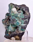 7.9cms DRUZY CHRYSOCOLLA QUARTZ MALACHITE BOTRYOIDAL PERU MINERAL SPECIMEN DB84