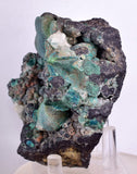 7.9cms DRUZY CHRYSOCOLLA QUARTZ MALACHITE BOTRYOIDAL PERU MINERAL SPECIMEN DB84