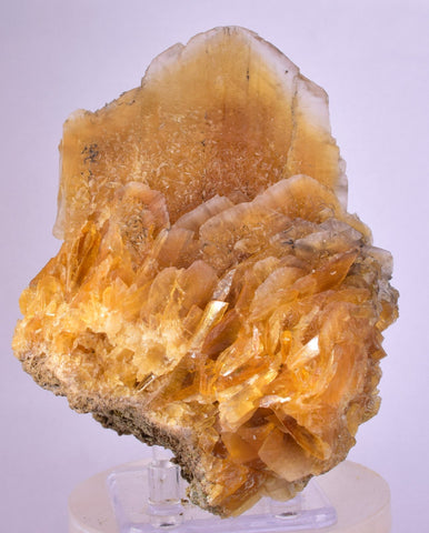 11.5cms GOLDEN SELENITE CRYSTAL PERU FISH TAIL SUISEKI TRANSLUCENT TB127