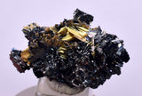 2.5cms GOLDEN RUTILE HEMATITE SPRAY NEEDLES CRYSTALS TITANIUM BAHIA BRAZIL  XB19