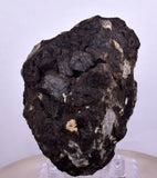 5.7cms ALABANDITE CRYSTALS PERU GEM UCHUCHACCUA MINE MINERAL SPECIMEN HB157