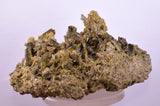 13ms CLINOZOISITE EPIDOTE CRYSTALS PERU MINERAL SPECIMEN COLLECTOR  KB60