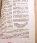 BOOK 1856 LANDRIN DICTIONARY MINERALOGY GEOLOGY METALLURGY FRANCE 506 PAGES NB10