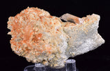 6.8cms LIMONITE IN SELENITE CRYSTAL COLLECTOR PERU MINERAL SPECIMEN TB102