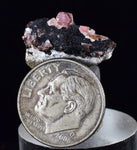 1.8cms GEM RHODOCHROSITE CRYSTALS PERU UCHUCHACCUA MINE MINERAL SPECIMEN RB480