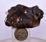 5.2cms ALABANDITE CRYSTALS PERU GEM UCHUCHACCUA MINE MINERAL SPECIMEN HB156