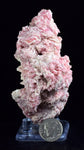 6.2 cms GEM RHODOCHROSITE CRYSTALS PERU MANUELITA MINE MINERAL SPECIMEN RB331