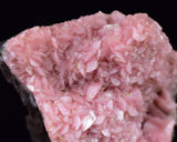 4.3cms RHODOCHROSITE CRYSTAL  N'CHWANING II MINE SOUTH AFRICA  RB652