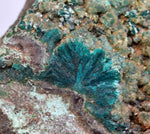 12.5cms DIOPTASE CRYSTALS PERU QUARTZ CHRYSOCOLLA MINERAL SPECIMEN KB40