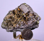 6.4cms APATITE SIDERITE QUARTZ CRYSTALS CHALCOPYRITE BORNITE PYRITE PERU AB61