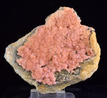 7.8cm RHODOCHROSITE GEODE SPHALERITE PYRITE QUARTZ MOROCOCHA PERU RB602