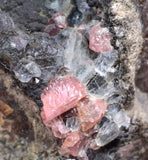 4.8cm RHODOCHROSITE CRYSTALS PERU OLD STOCK UCHUCCHACUA MINERAL SPECIMEN RB518