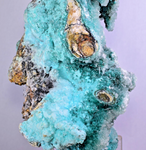 20cm GEM CHRYSOCOLLA IN SELENITE LILY MINE PERU MALACHITE STALACTITES CB359