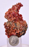 5.8cm VANADINITE HOLLANDITE CRYSTAL MIBLADEN MOROCCO  MINERAL SPECIMEN WB24