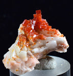 2.4cm VANADINITE CRYSTAL BARITE MIBLADEN MOROCCO MINIATURE MINERAL SPECIMEN WB08