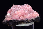 4.3cms RHODOCHROSITE CRYSTAL  N'CHWANING II MINE SOUTH AFRICA  RB652