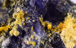 3.3cms GEM WULFENITE FLUORITE MIMETITE CRYSTALS ALAMO ARIZONA USA MINERAL YB40