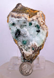 8.5cms ATACAMITE DRUZY MALCHITE CHRYSOCOLLA LILY MINE PERU MINERAL AB141