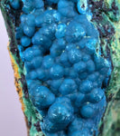 8.2cms QUARTZ CHRYSOCOLLA BOTRYOIDAL TENTADORA MINE PERU MINERAL SPECIMEN CB121