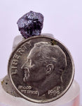 0.8cms PROUSTITE RED RUBY SILVER PERU UCHUCCHACUA MINE MINERAL SPECIMEN HB210