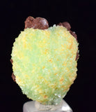 2.5cm PHOSPHOPHYLLITE APPLE BOTRYOIDAL CRYSTAL HOLY GRAIL OF MINERALS BOLIVIA