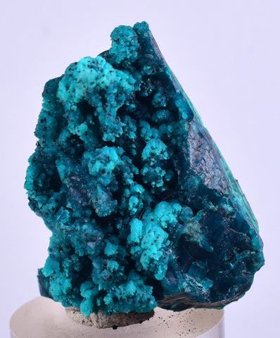 3cm GEM BLUE MALACHITE CHRYSOCOLLA PERU ROSETTE BOTRYOIDAL CRYSTAL GRAPE  UB124