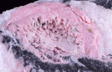 13cms RHODOCHROSITE ROSETTE PYRITE CRYSTALS PERU MINERAL SPECIMEN RB581