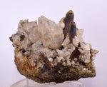 10.5cms CALCITE TOOTH DOG WITH QUARTZ CRYSTALS PERU SHINY MINERAL SPECIMEN GB17
