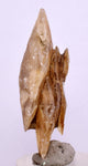 4.5 cms DESERT ROSE SELENITE CRYSTAL PERU GOLDEN SUISEKI TRANSLUCENT TB97