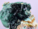 3.4cms ATACAMITE DRUZY MALCHITE CHRYSOCOLLA LILY MINE PERU MINERAL AB73
