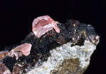 1.8cms GEM RHODOCHROSITE CRYSTALS PERU UCHUCHACCUA MINE MINERAL SPECIMEN RB480