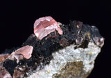 1.8cms GEM RHODOCHROSITE CRYSTALS PERU UCHUCHACCUA MINE MINERAL SPECIMEN RB480