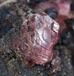 4.6cms GEM RHODOCHROSITE CRYSTALS PERU UCHUCCHACUA MINE MINERAL SPECIMEN RB350