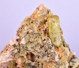 3.5cms YELLOW APATITE CRYSTALS IMILCHIL MOROCCO MINERAL SPECIMEN AB235