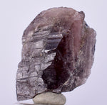 2cm GEM AXINITE CRYSTAL  PERU SUPER SHINY MINERAL SPECIMEN AB99