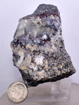 6.7cms PROUSTITE RED RUBY SILVER MINERAL PERU UCHUCCHACUA MINE SPECIMEN HB218