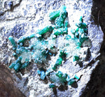 14.5cms DIOPTASE CRYSTALS PERU QUARTZ CHRYSOCOLLA MINERAL SPECIMEN KB41