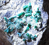 14.5cms DIOPTASE CRYSTALS PERU QUARTZ CHRYSOCOLLA MINERAL SPECIMEN KB41