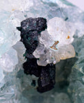 3.9cms ATACAMITE DRUZY CHRYSOCOLLA  STALACTITE LILY MINE PERU MINERAL AB42