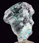 3.7cms CHRYSOCOLLA INSIDE SELENITE CRYSTAL LILY MINE 2000 DISCOVERY PERU TB99
