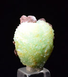 2.5cm PHOSPHOPHYLLITE APPLE BOTRYOIDAL CRYSTAL HOLY GRAIL OF MINERALS BOLIVIA