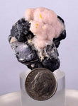 5cms RHODOCHROSITE ROSETTE PYRITE GALENA QUARTZ PERU BOTRYOIDAL CRYSTAL RB122