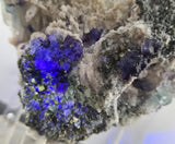 15ms  GREEN PURPLE FLUORITE PYRITE CRYSTAL PERU HUANZALA MINE SHINY KB17