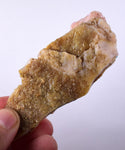 49.6grams GEM PINK OPAL PERU ROUGH CORAL COLOR TRANSLUCENT MINERAL PB10