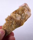 49.6grams GEM PINK OPAL PERU ROUGH CORAL COLOR TRANSLUCENT MINERAL PB10