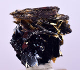 1.6cms GOLDEN RUTILE HEMATITE SPRAY NEEDLES CRYSTALS TITANIUM BAHIA BRAZIL  XB09