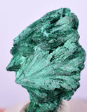 3cms MALACHITE CRYSTALS CONGO MINDINGI MINE SUPER SHINY MINERAL SPECIMEN UB92