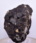 5.7cms ALABANDITE CRYSTALS PERU GEM UCHUCHACCUA MINE MINERAL SPECIMEN HB157
